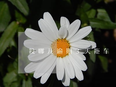 投哪儿逾期3天拖车 投哪儿逾期3天拖车