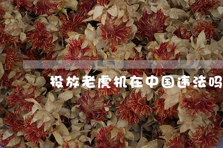 投放老虎机在中国违法吗 投放老虎机在中国违法吗