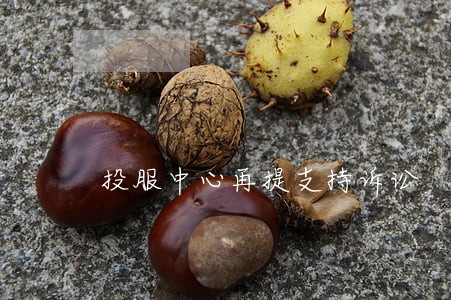 投服中心再提支持诉讼