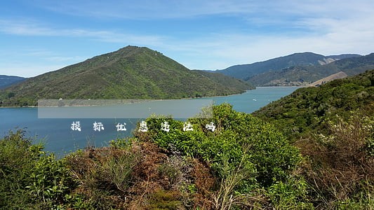 投标优惠违法吗
