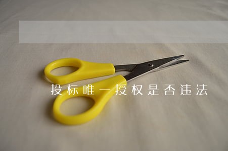 投标唯一授权是否违法 投标唯一授权是否违法