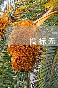 投标无严重违法记录 投标无严重违法记录