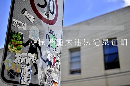 投标无重大违法记录证明模板 投标无重大违法记录证明模板