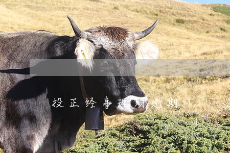 投正经事理财逾期 投正经事理财逾期