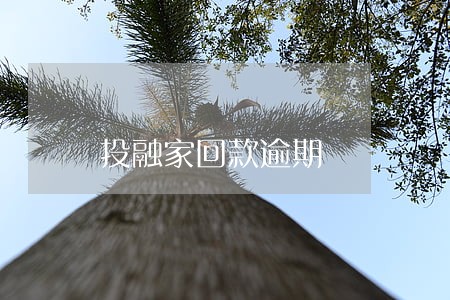 投融家回款逾期