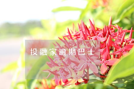 投融家逾期巴士 投融家逾期巴士