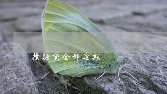 投融贷全部逾期 投融贷全部逾期
