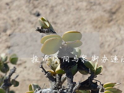 投诉咸阳马泉街办违法 投诉咸阳马泉街办违法