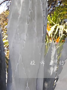 投诉建行强行扣款信用卡逾期 投诉建行强行扣款信用卡逾期