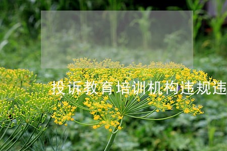 投诉教育培训机构违规违法操作 投诉教育培训机构违规违法操作