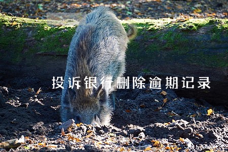 投诉银行删除逾期记录