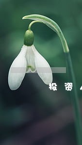 投资人网贷逾期有什么影响 投资人网贷逾期有什么影响