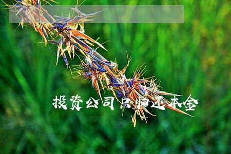 投资公司只归还本金 投资公司只归还本金