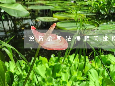 投资公司法律顾问投标书 投资公司法律顾问投标书