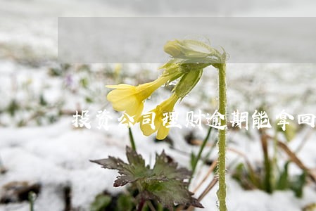 投资公司理财逾期能拿回本金吗