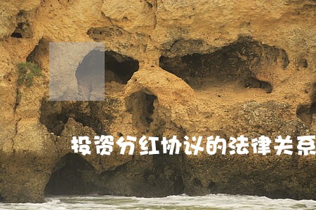 投资分红协议的法律关系