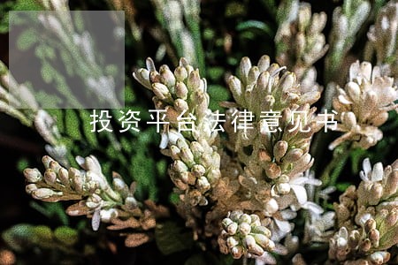 投资平台法律意见书