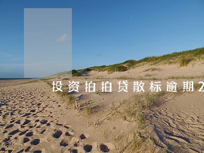 投资拍拍贷散标逾期20天 投资拍拍贷散标逾期20天