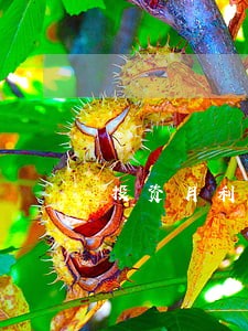 投资月利率百分之十违法吗 投资月利率百分之十违法吗