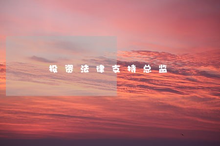 投资法律支持总监 投资法律支持总监