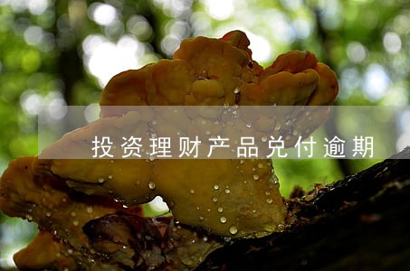 投资理财产品兑付逾期 投资理财产品兑付逾期