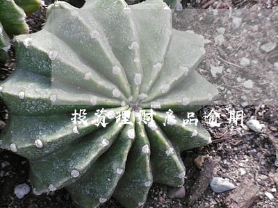 投资理财产品逾期 投资理财产品逾期