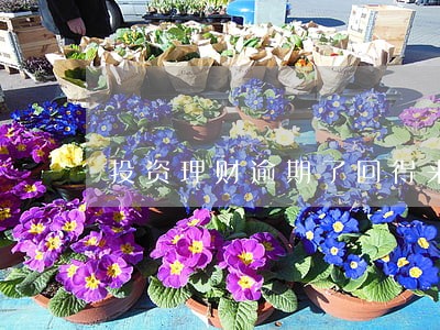 投资理财逾期了回得来吗 投资理财逾期了回得来吗