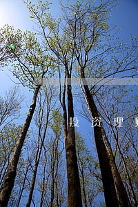 投资理财逾期了怎么维权 投资理财逾期了怎么维权