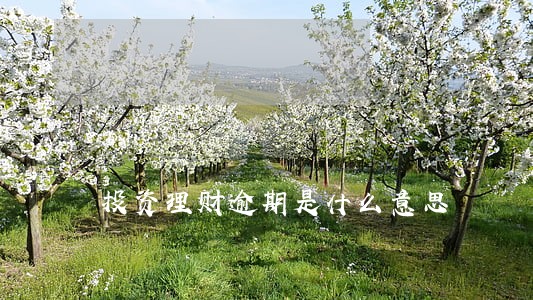 投资理财逾期是什么意思 投资理财逾期是什么意思
