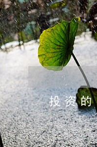 投资的网贷平台逾期 投资的网贷平台逾期