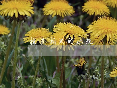 投资相关的法规 投资相关的法规