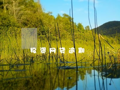 投资网贷逾期 投资网贷逾期