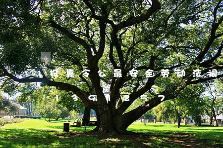 投靠令公最安全劳动法词语/2023021391257 投靠令公最安全劳动法词语/2023021391257