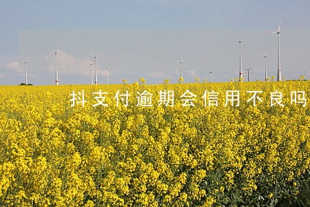 抖支付逾期会信用不良吗 抖支付逾期会信用不良吗