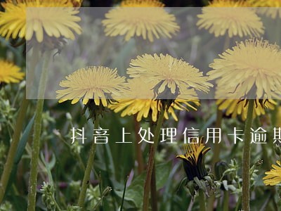 抖音上处理信用卡逾期的靠谱吗 抖音上处理信用卡逾期的靠谱吗