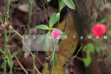 抖音上的信用卡逾期提醒 抖音上的信用卡逾期提醒