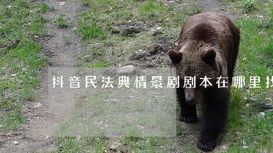 抖音民法典情景剧剧本在哪里找 抖音民法典情景剧剧本在哪里找