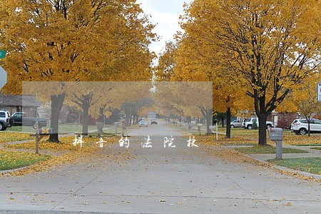 抖音的法院梗