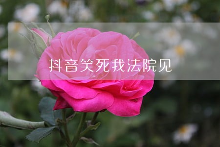 抖音笑死我法院见 抖音笑死我法院见