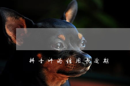 抖音评论信用卡逾期 抖音评论信用卡逾期