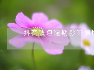 抖音钱包逾期影响信用吗