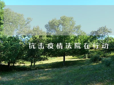 抗击疫情法院在行动