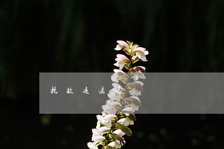 抗敏违法吗 抗敏违法吗