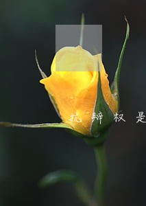 抗辩权是否适用诉讼时效 抗辩权是否适用诉讼时效