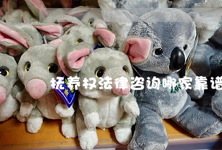 抚养权法律咨询哪家靠谱 抚养权法律咨询哪家靠谱