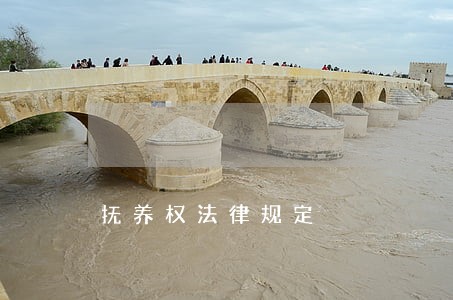 抚养权法律规定 抚养权法律规定