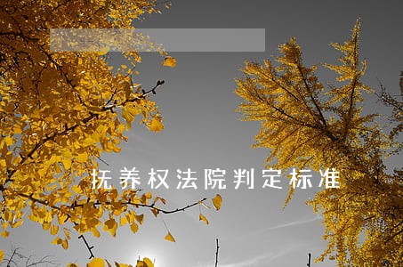抚养权法院判定标准 抚养权法院判定标准
