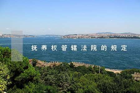 抚养权管辖法院的规定 抚养权管辖法院的规定