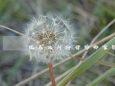 抚养权纠纷律师哪家强 抚养权纠纷律师哪家强