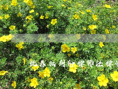 抚养权纠纷律师法律咨询 抚养权纠纷律师法律咨询
